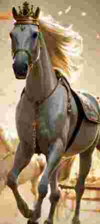 建国75周年特别报道 著名新时代科学家 ——马忠义